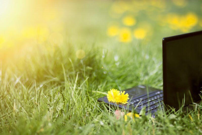 Laptop in the grass with flowers